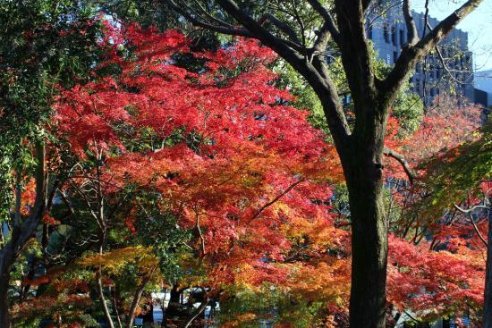 Parque Hibiya